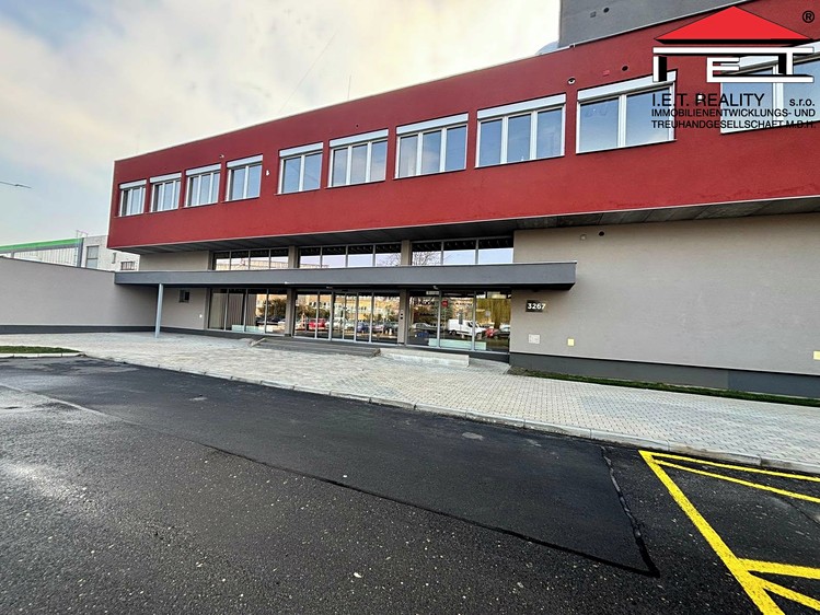 Pronájem komerčního prostoru, 800 m² (7 z 20)