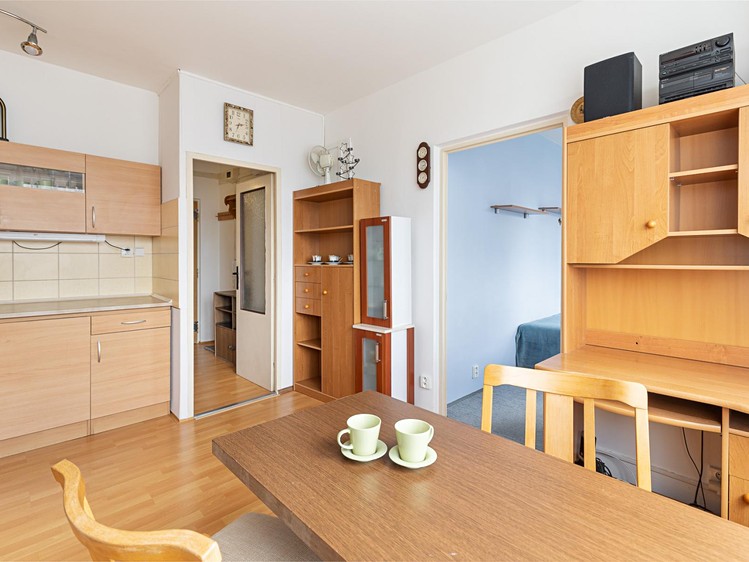 Pronájem bytu 1+1, 30 m² (4 z 12)
