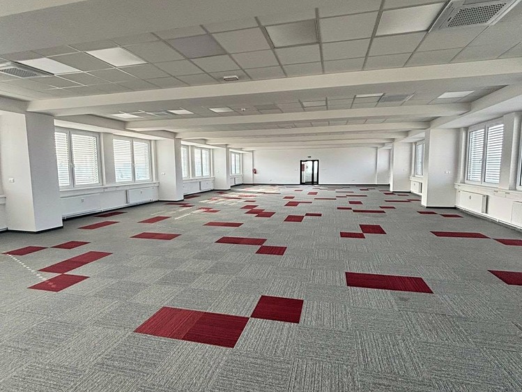 Pronájem komerčního prostoru, 800 m² (8 z 20)