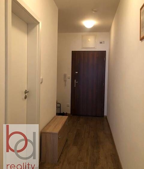 Квартира 1+kk в оренду, 38 м² (10 з 13)