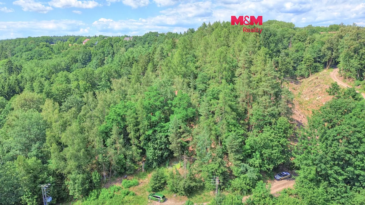 Prodej lesa 32996 m²