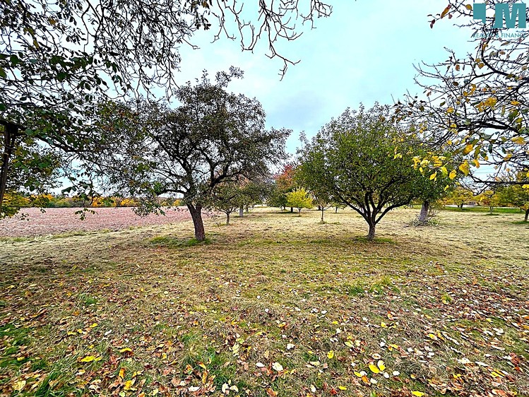 Pronájem pozemku, 173 500 m² (12 z 17)