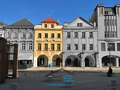 Prodej komerčního prostoru, 665 m² (2 z 28)