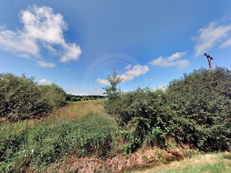 Grundstück zum Kauf, 1.001 m² (5 von 5)