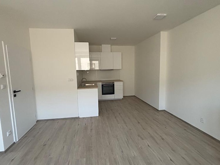 Wohnung 2+kk zur Miete, 59 m² (4 von 26)