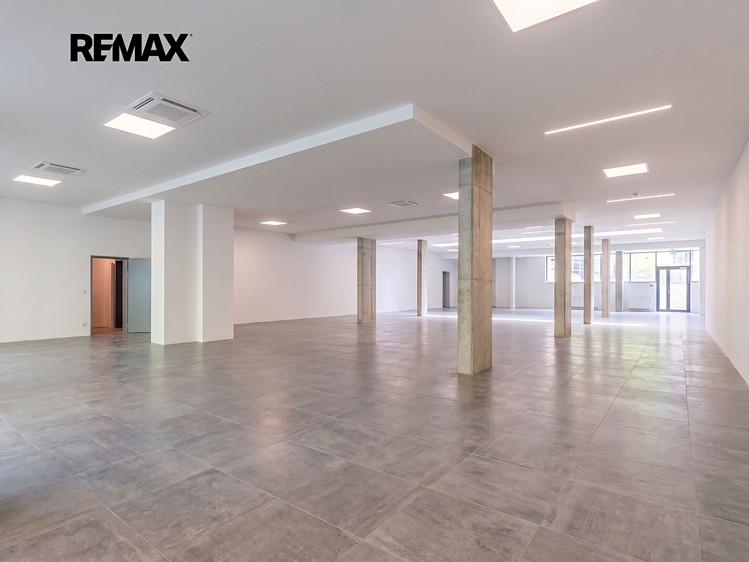 Gewerbefläche zur Miete, 225 m² (4 von 23)