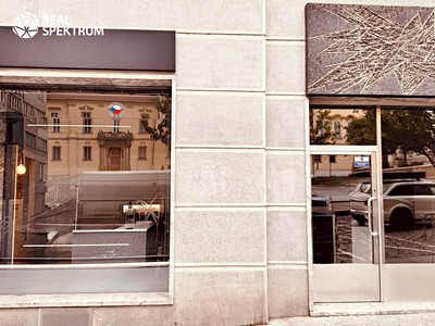 Комерційне приміщення в оренду, 109 м² (2 з 10)