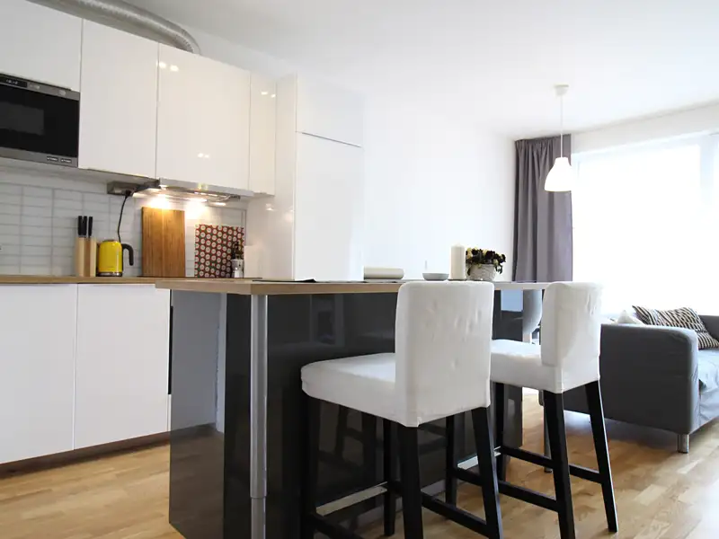 Prodej bytu 1+kk 45 m², Brno – náhled fotky 2