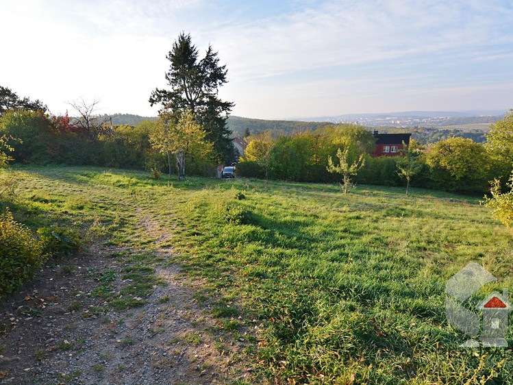 Ostatní
