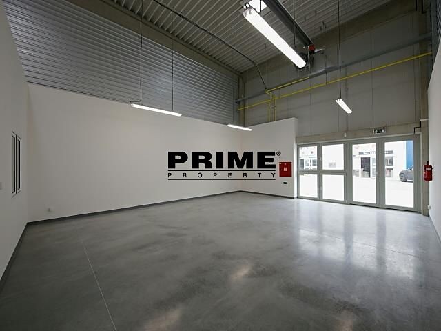Gewerbefläche zur Miete, 205 m² (2 von 11)