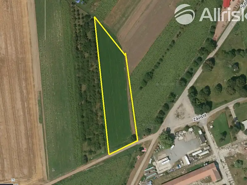 Prodej pole 5183 m², Milotice – náhled fotky 2