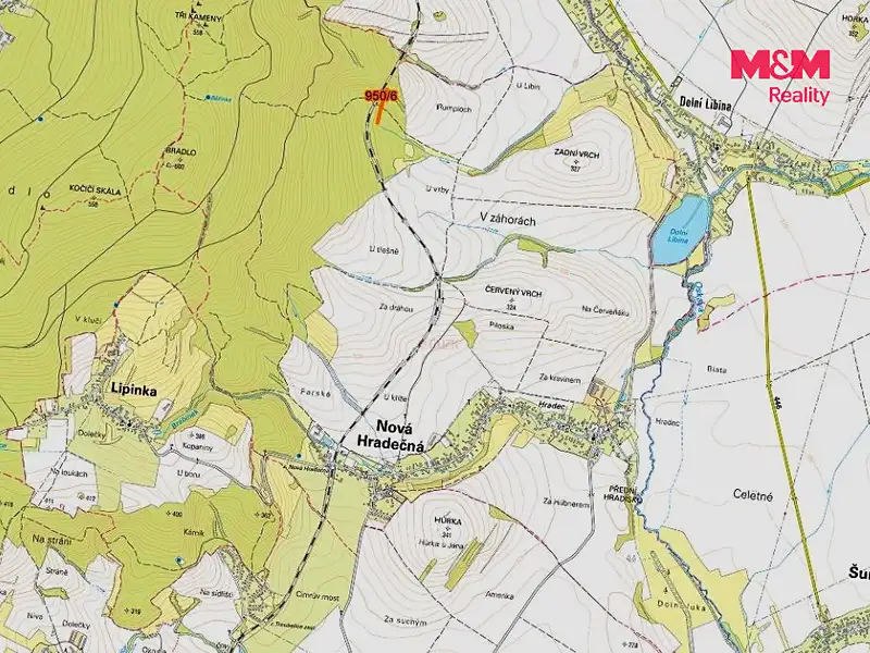 Prodej lesa 5346 m², Nová Hradečná – náhled fotky 2