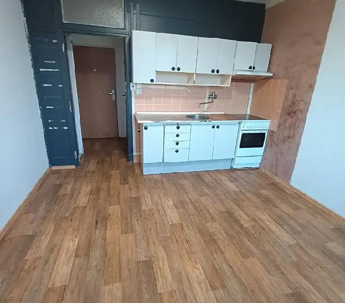 Pronájem bytu pokoje 20 m², Sokolov – náhled fotky 1