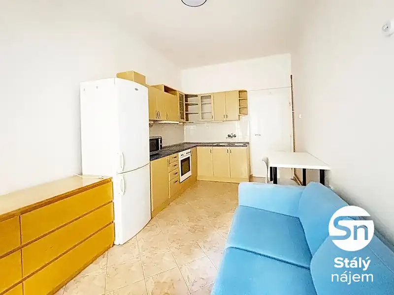 Pronájem bytu 1+1 48 m², Praha – náhled fotky 2