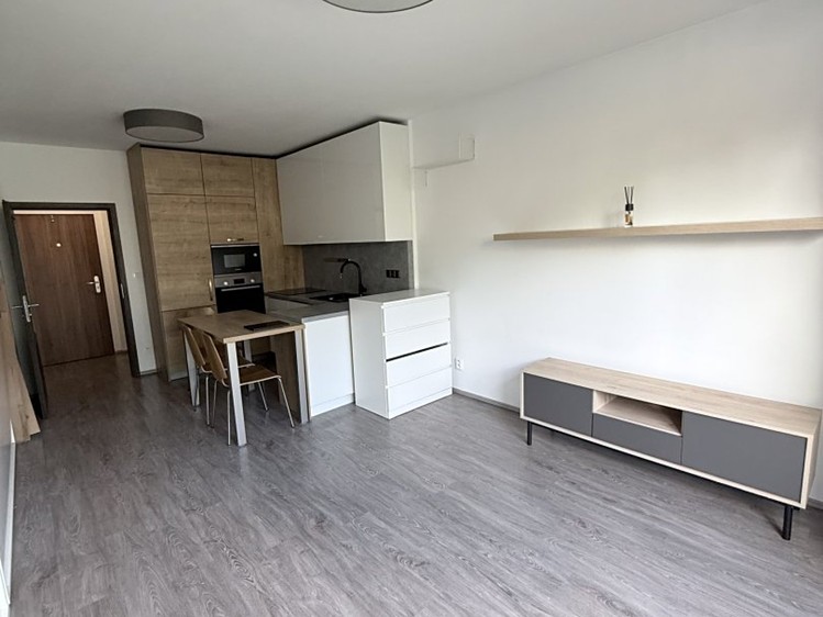 Pronájem bytu 1+kk, 31 m² (4 z 12)
