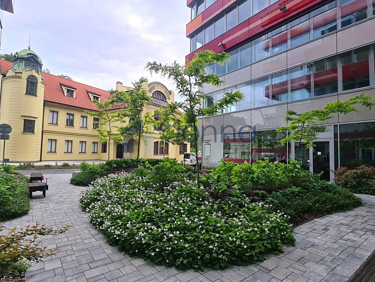 Pronájem komerčního prostoru, 194 m² (1 z 8)