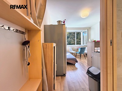 Wohnung 1+1 zum Kauf, 36 m² (3 von 19)