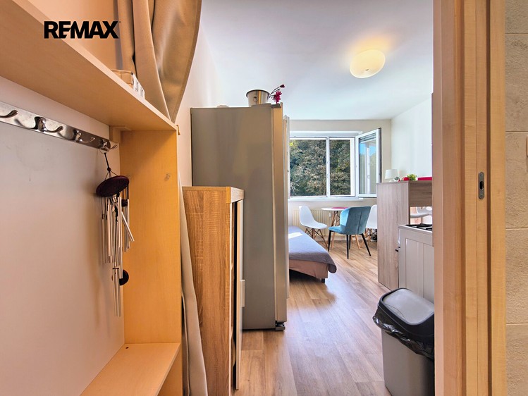 Wohnung 1+1 zum Kauf, 36 m² (3 von 19)
