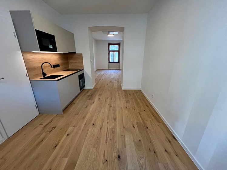 Pronájem bytu 2+1, 61 m² (1 z 15)