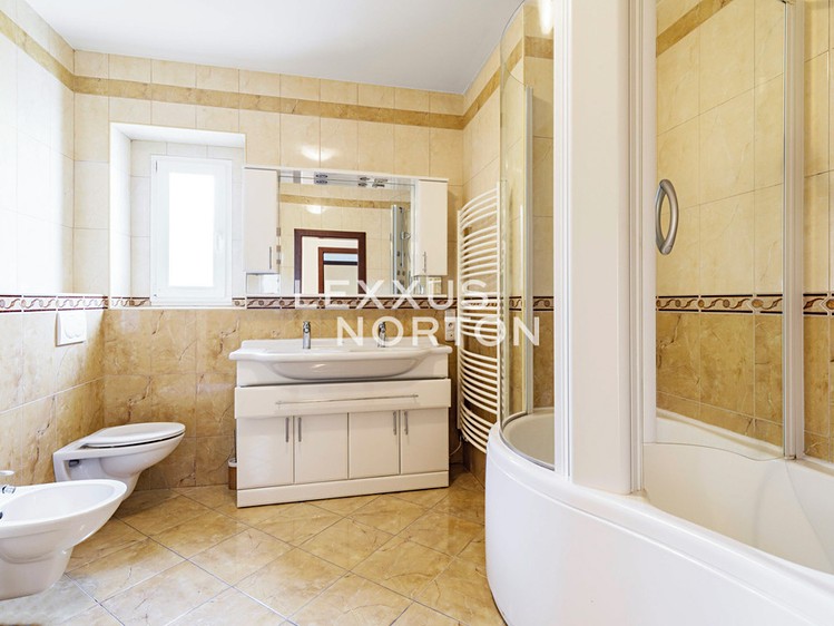 Pronájem komerčního prostoru, 413 m² (9 z 17)