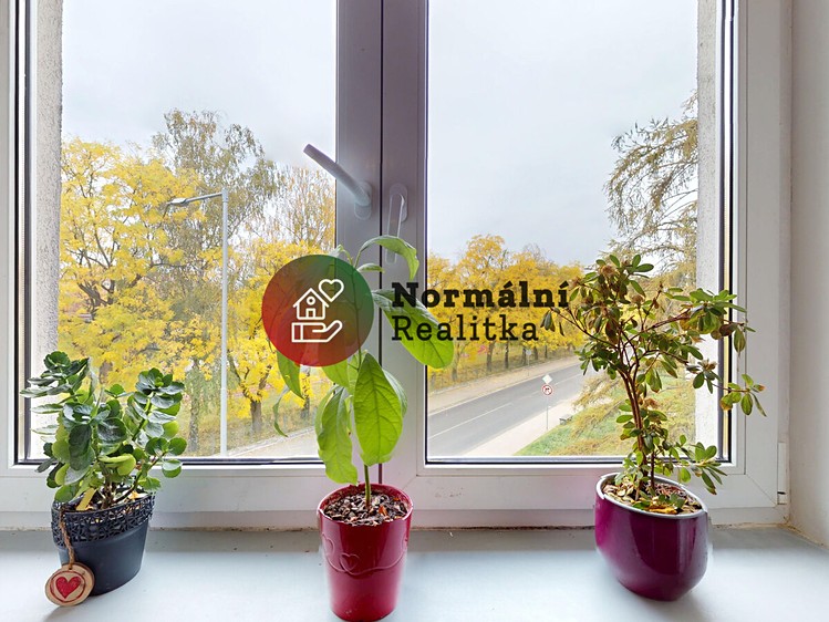 Квартира 2+kk на продаж, 30 м² (6 з 29)