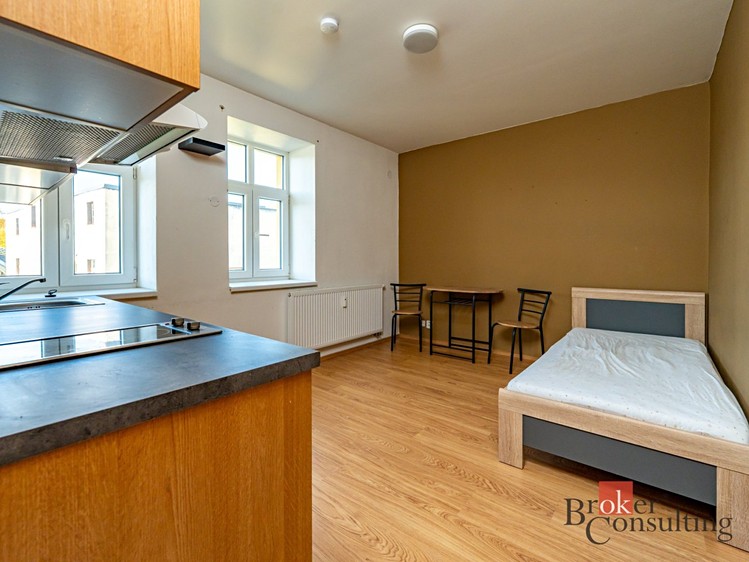 Wohnung 1+kk zur Miete, 18 m² (2 von 8)
