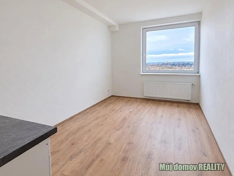 The 1+kk flat for rent, 20 m² (1 of 4)