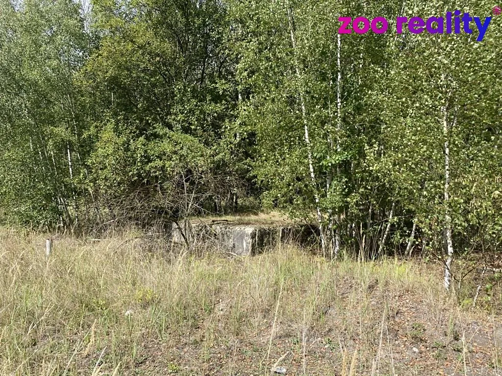Fotka 10 z 16