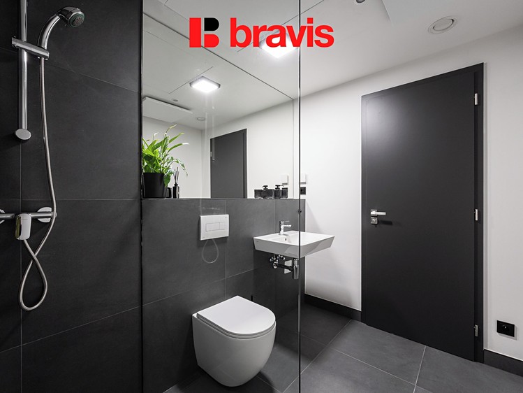 Pronájem bytu 1+kk, 35 m² (8 z 9)