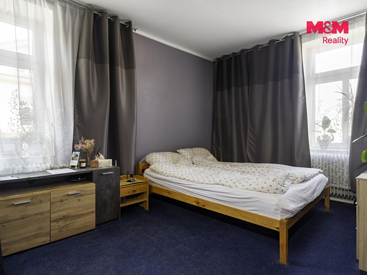 Будинок на продаж, 383 м² (4 з 23)