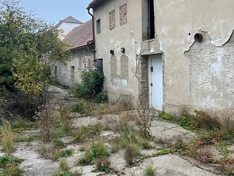 Prodej zemědělské usedlosti 1700 m², pozemek 2669 m², Rochov – náhled fotky 3