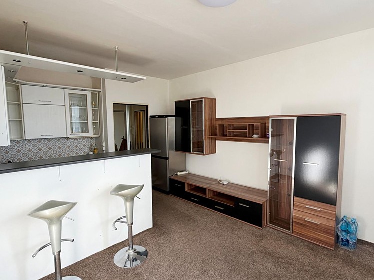 Wohnung 1+kk zur Miete, 24 m² (3 von 16)