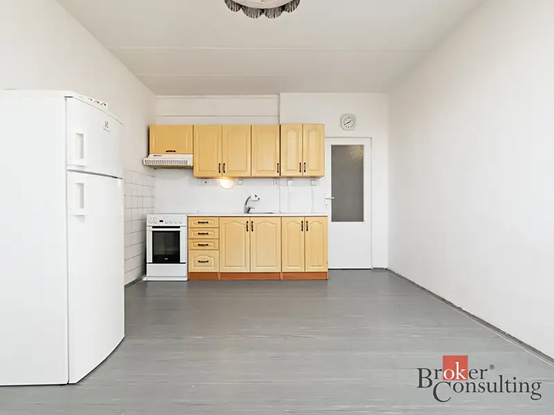 Prodej bytu 1+1 47 m², Plzeň – náhled fotky 2
