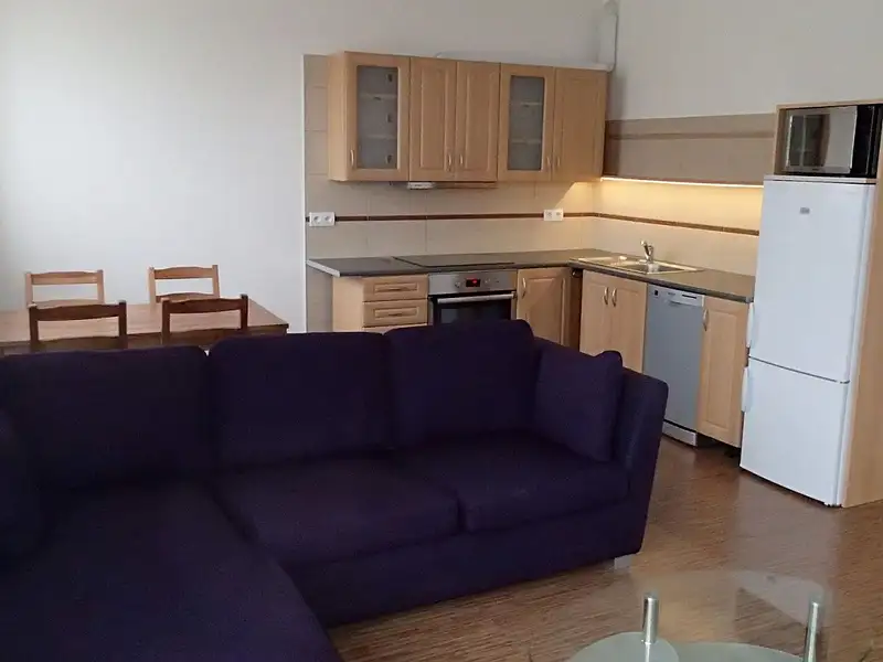 Pronájem bytu 2+kk 57 m², Pardubice – náhled fotky 2