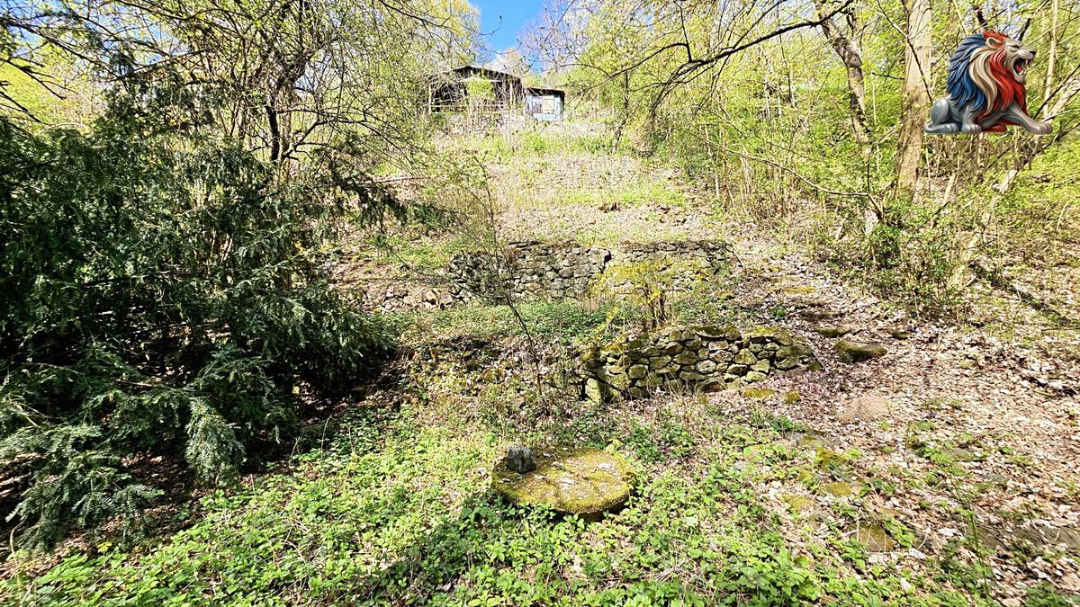 Prodej chaty 24 m², pozemek 889 m², Brno – fotka 1 z 3
