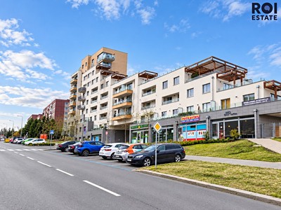 Pronájem bytu 1+kk, 35 m² (2 z 15)