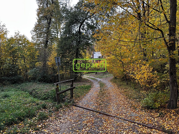 Ostatní