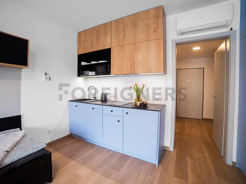 Pronájem bytu 1+kk 29 m², Olomouc – náhled fotky 2