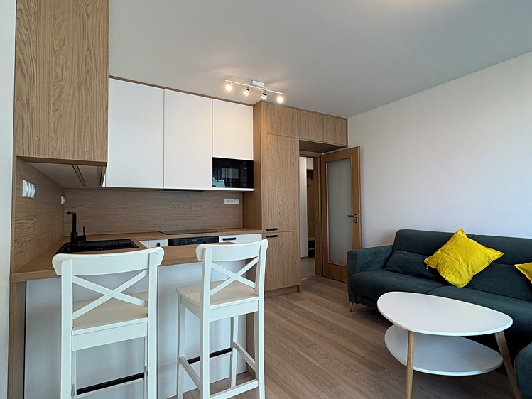 The 2+kk flat for rent, 43 m² (4 of 19)