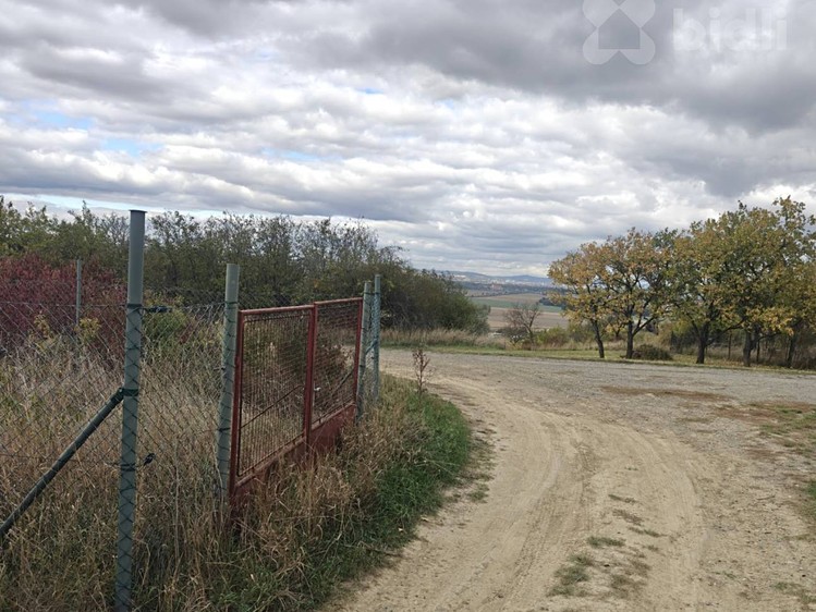 Ділянка в оренду, 550 м² (1 з 5)