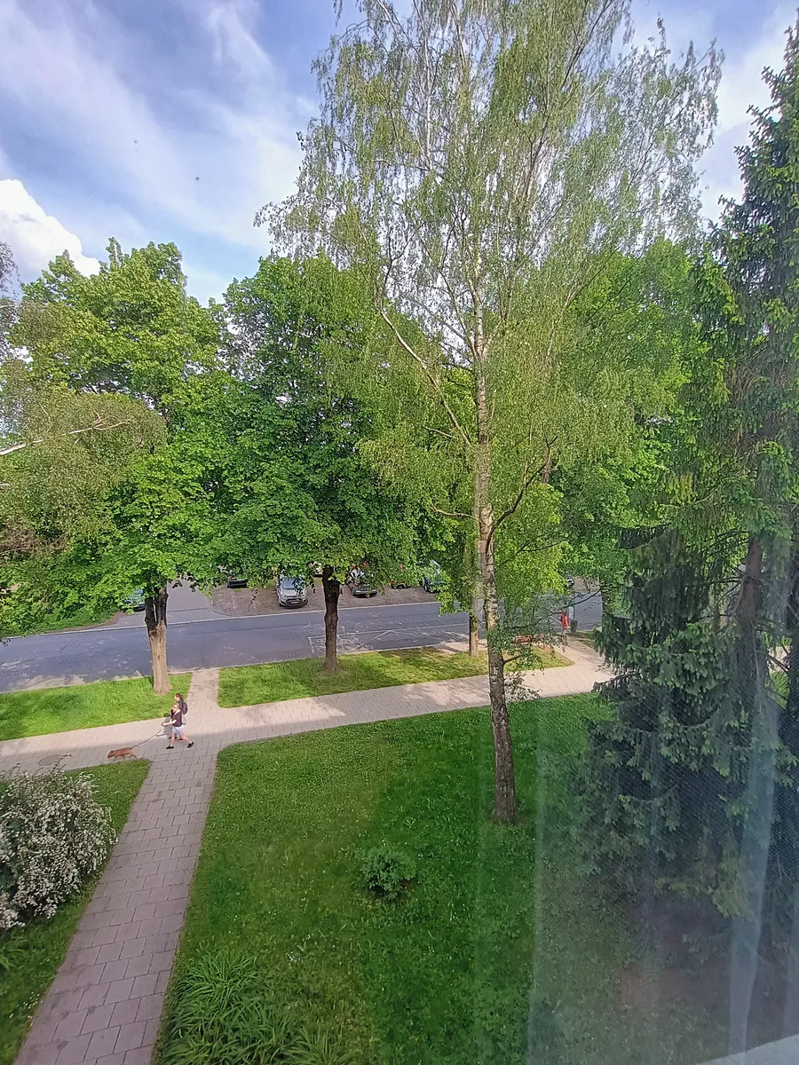 Fotka 10 z 19