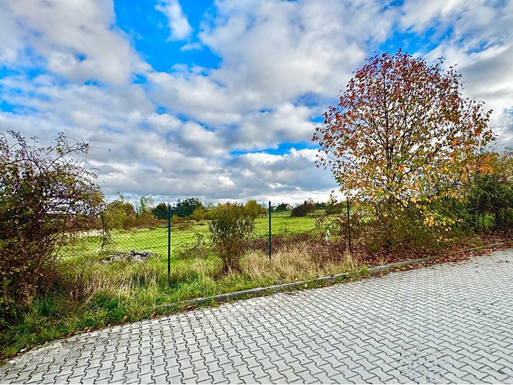 Ділянка на продаж, 6 000 м² (14 з 18)