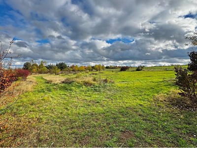 Ділянка на продаж, 6 000 м² (3 з 18)