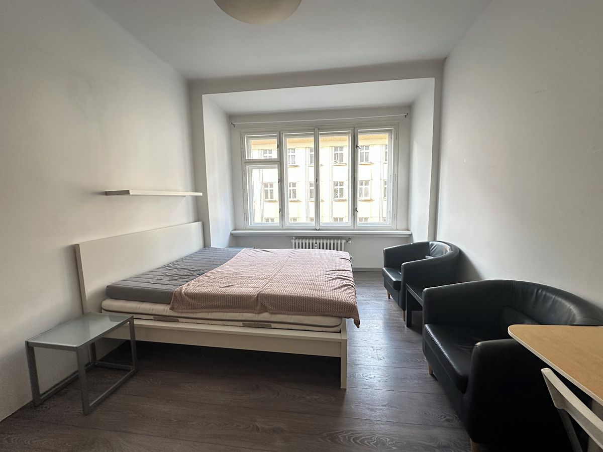 Pronájem bytu 1+kk 30 m² – fotografie 3