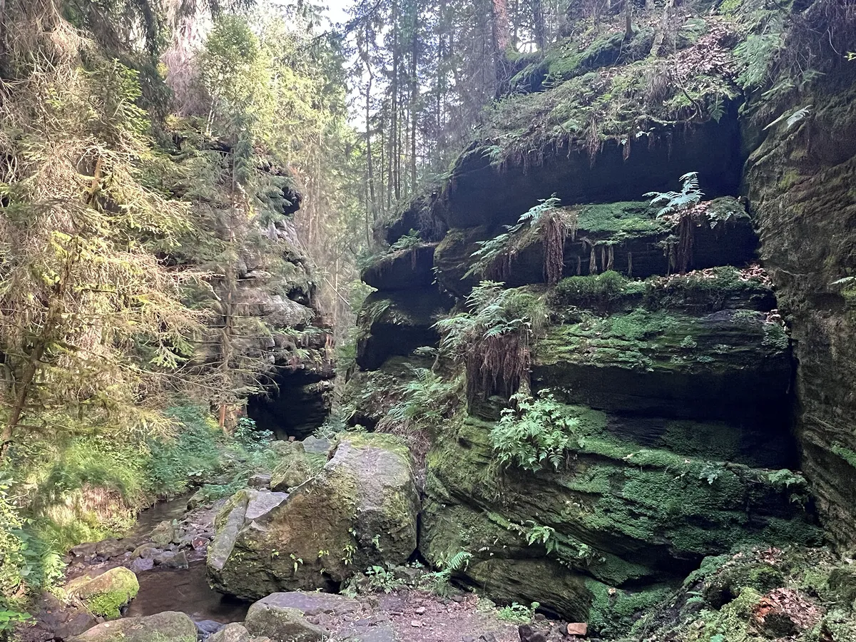 Fotka 16 z 18