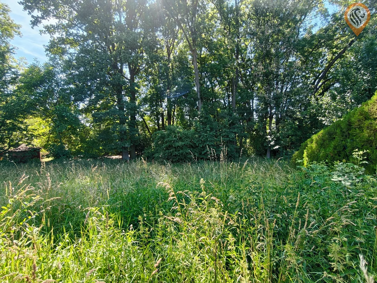 Fotka 11 z 19
