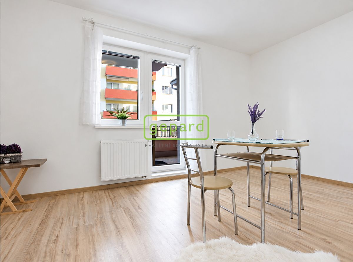 Pronájem bytu 1+kk 33 m² – fotografie 2