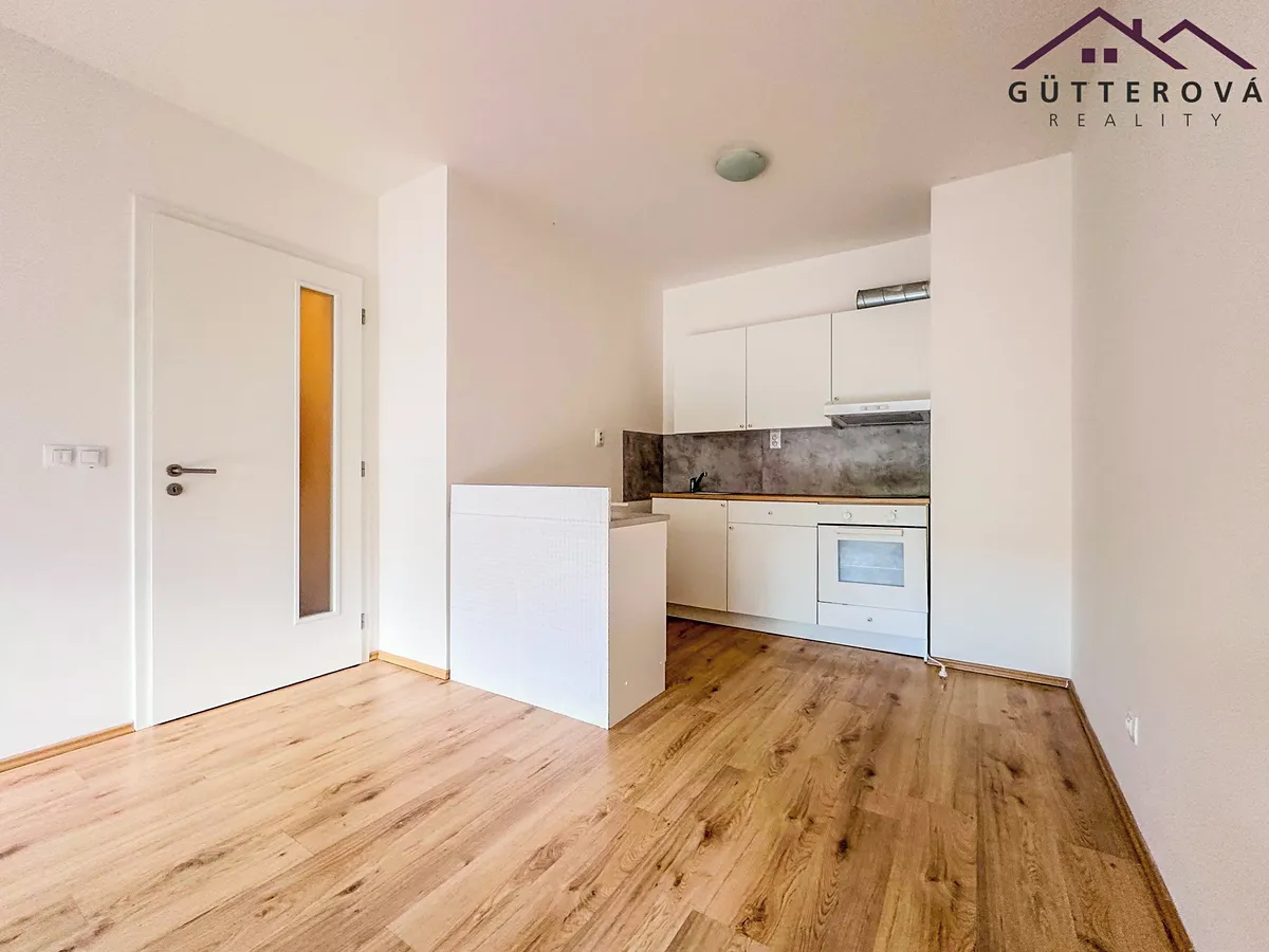 Pronájem bytu 2+kk 48 m²