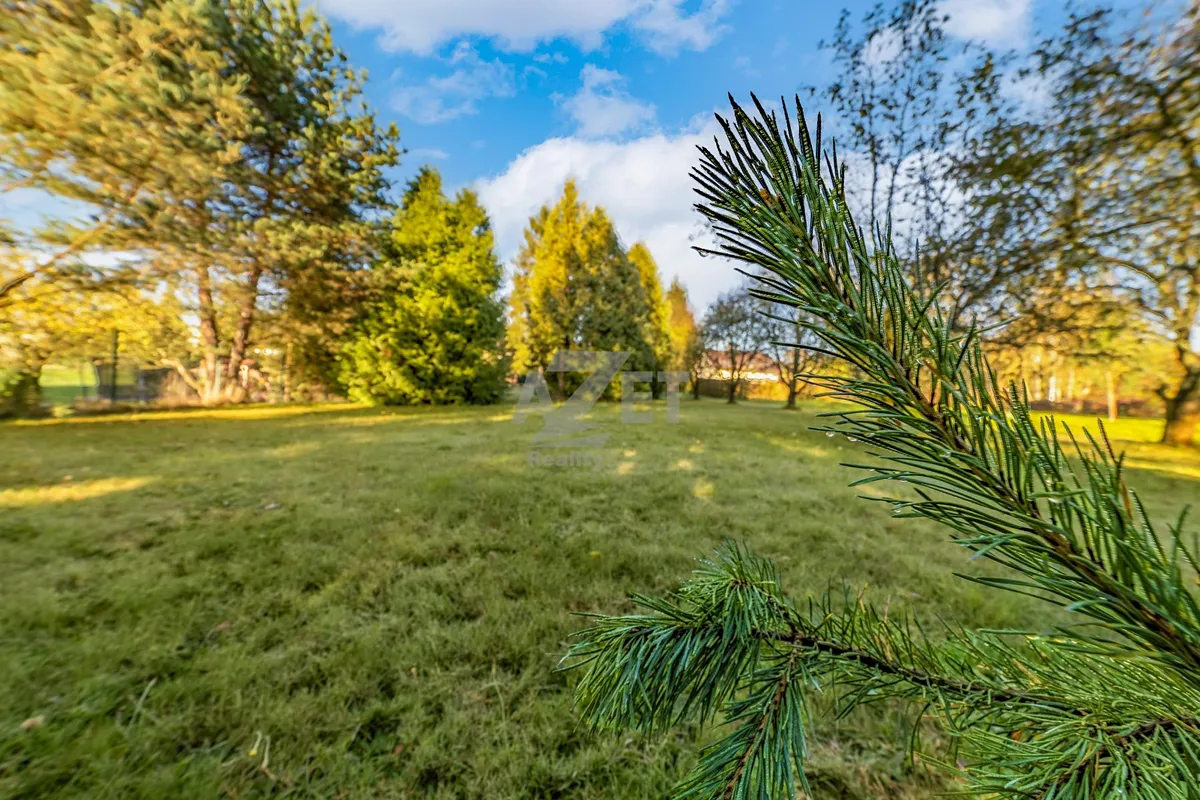 Fotka 15 z 20