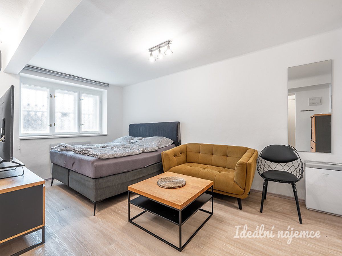 Pronájem bytu 1+kk 24 m² – fotografie 2